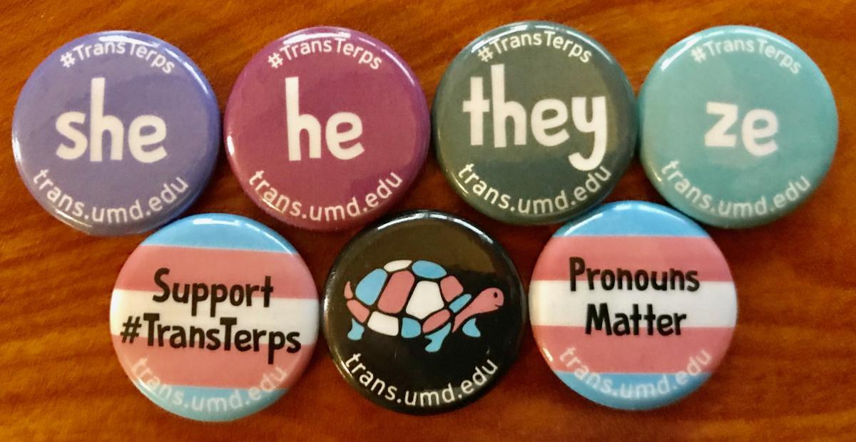 Trans Terps individual buttons: She, he, they, ze, Support hashtag Trans Terps, Transgender pride Testudo, and Pronouns Matter.