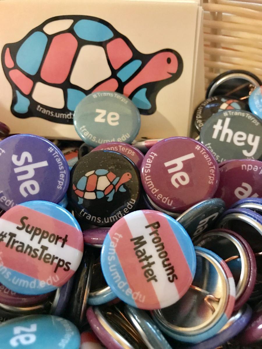 Pronoun pins and trans Terp sticker in a basket